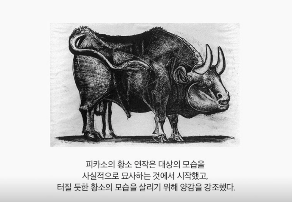 피카소의 황소 연작은 대상의 모습을 사실적으로 묘사하는 것에서 시작했고, 터질 듯한 황소의 모습을 살리기 위해 양감을 강조했다.